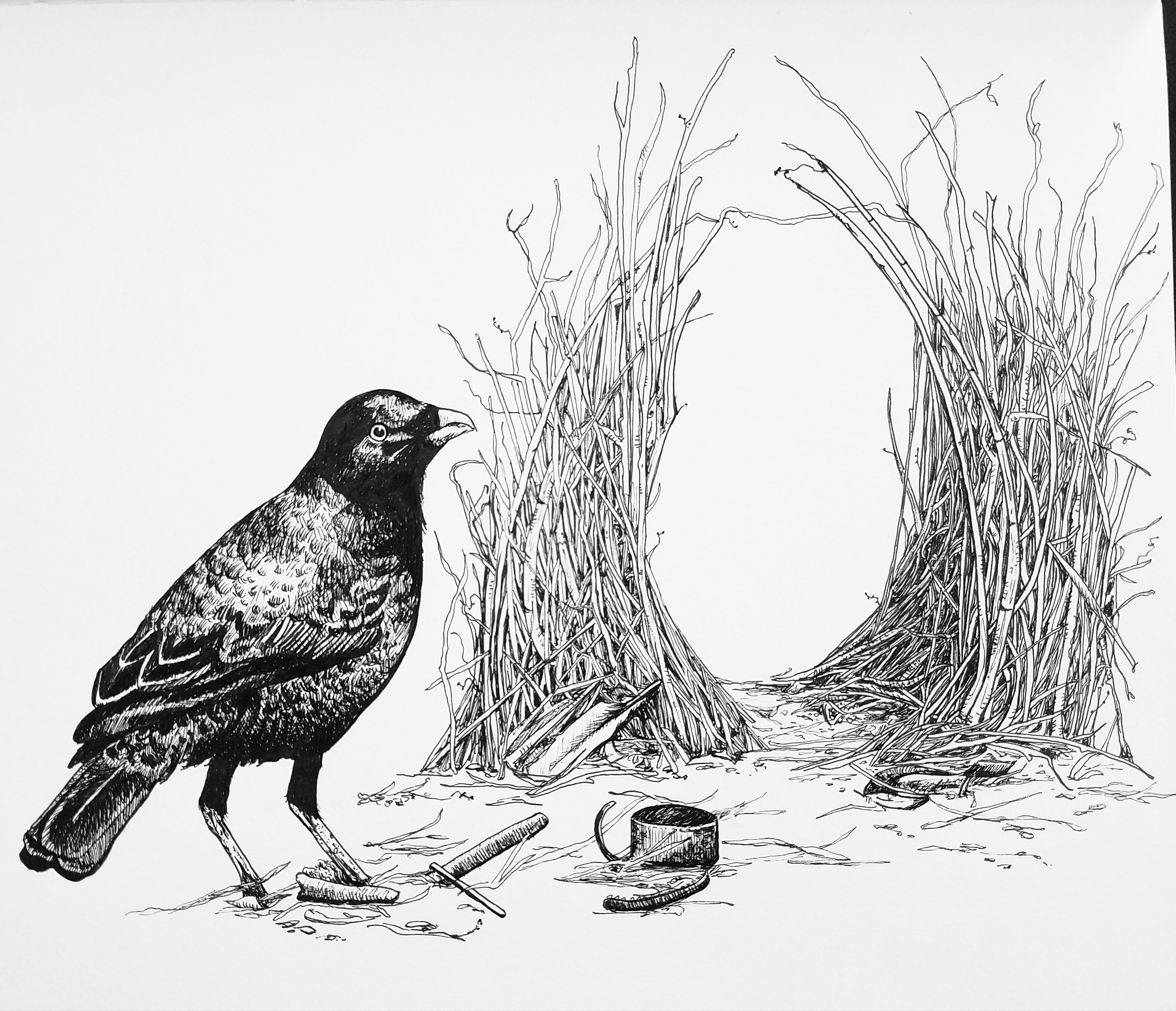 Print:BowerBird