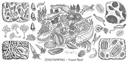 Strata Collection: Fossil Reef