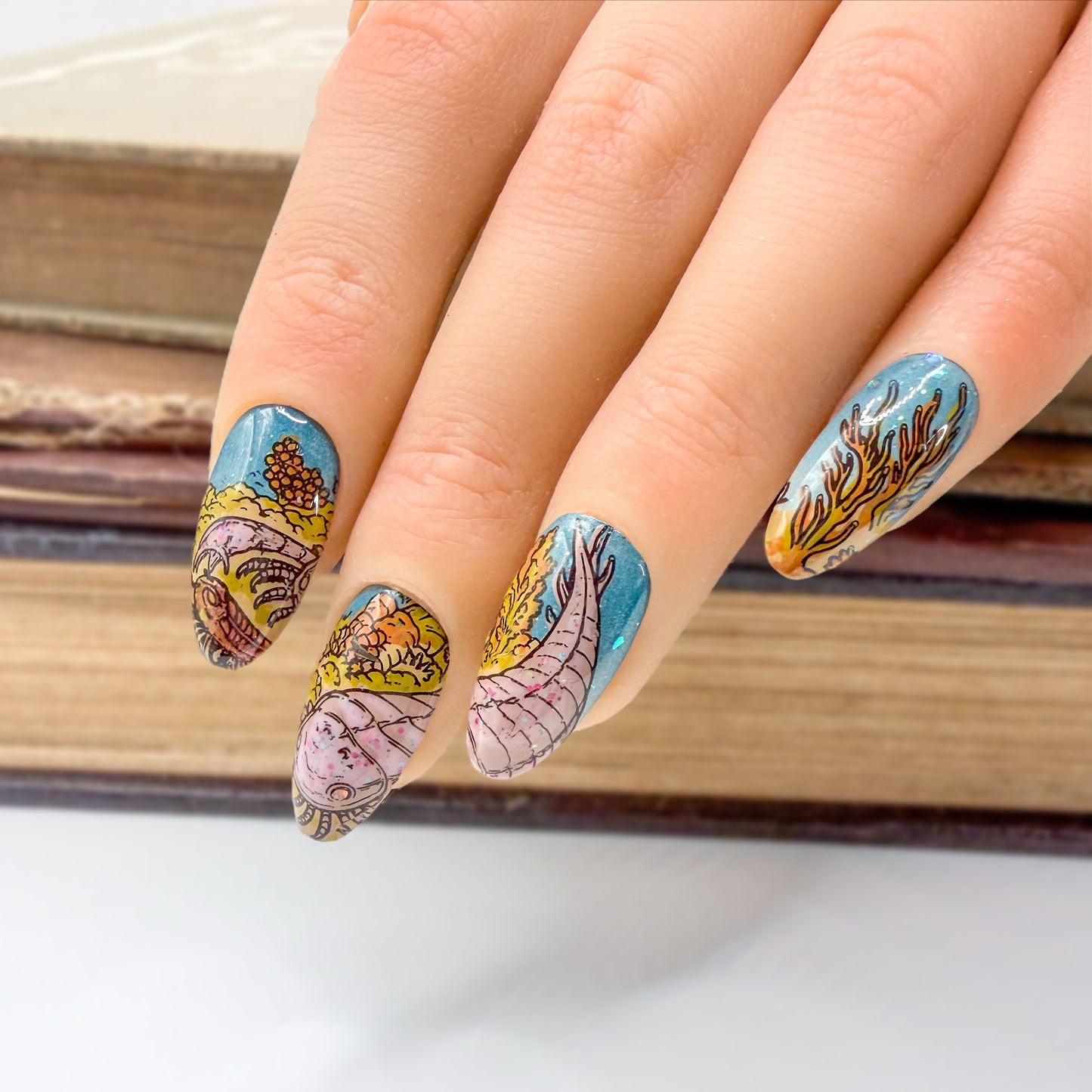 Strata Collection: Fossil Reef
