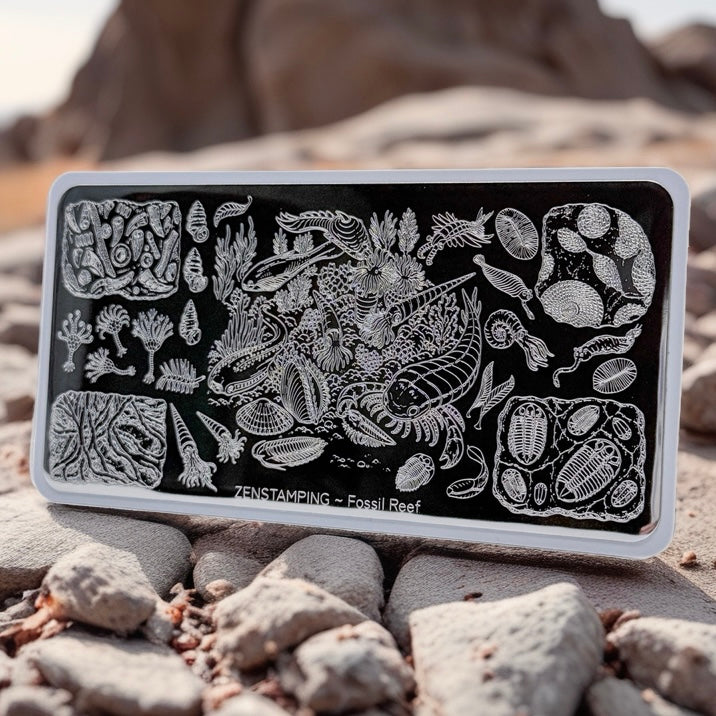 Strata Collection: Fossil Reef