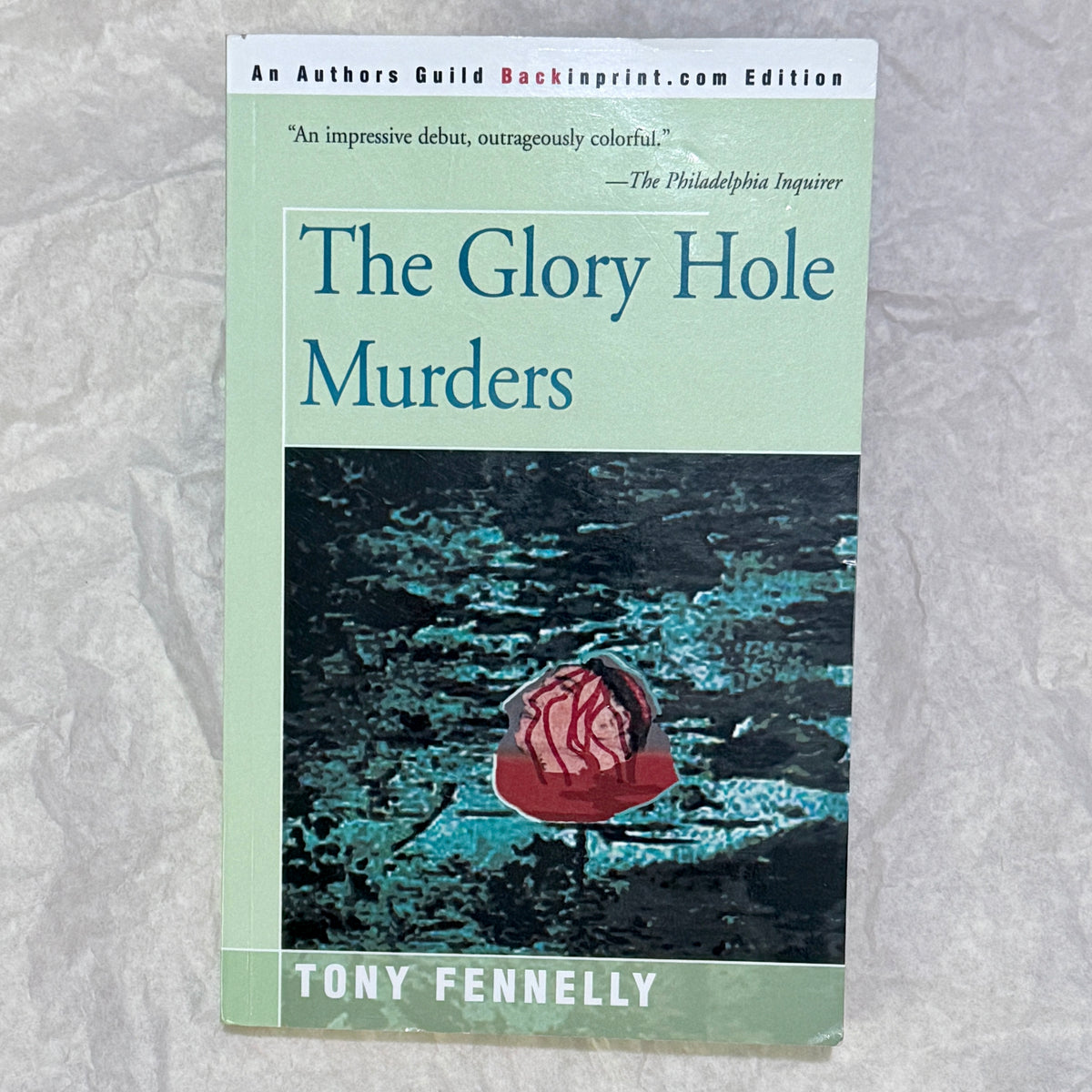 "The Glory Hole Murders" by Tony Fennelly