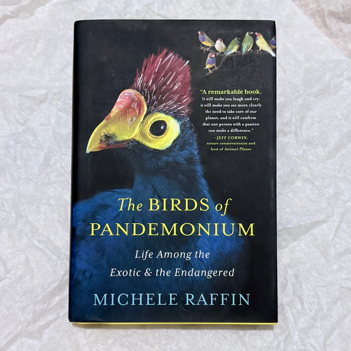 "The Birds of Pandemonium" by Michele Raffin