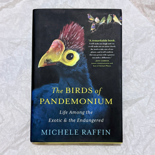 "The Birds of Pandemonium" by Michele Raffin